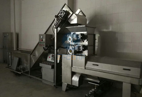 石榴去皮破碎設(shè)備