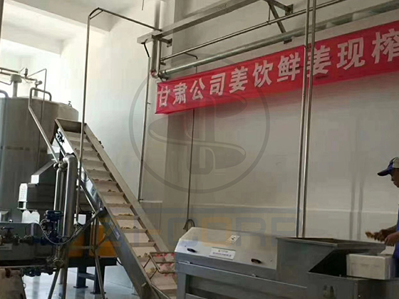 商用工業(yè)級(jí)大型螺旋生姜榨汁機(jī)